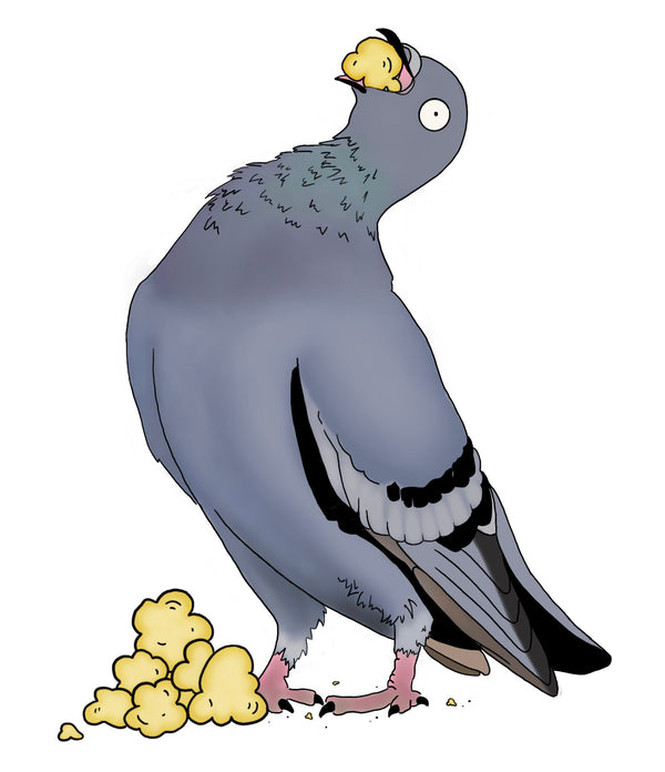 Pigeon Popcorn